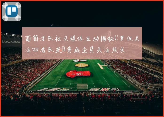 葡萄牙队社交媒体互动揭秘C罗仅关注四名队友B费成全员关注焦点